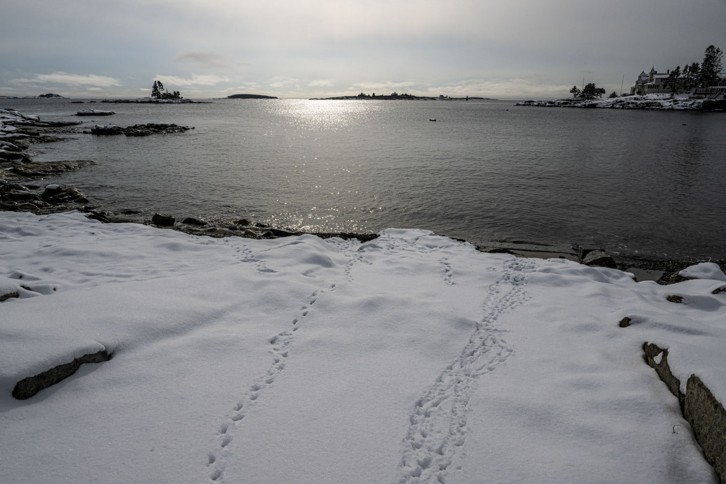 There are bird prints in snow that lead down to water.