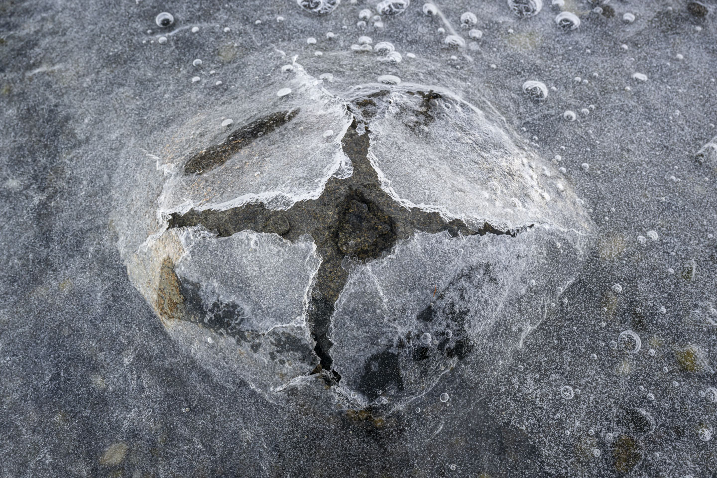 A view looking straight down at the ice broken around a rock makes it look like a barnacle.