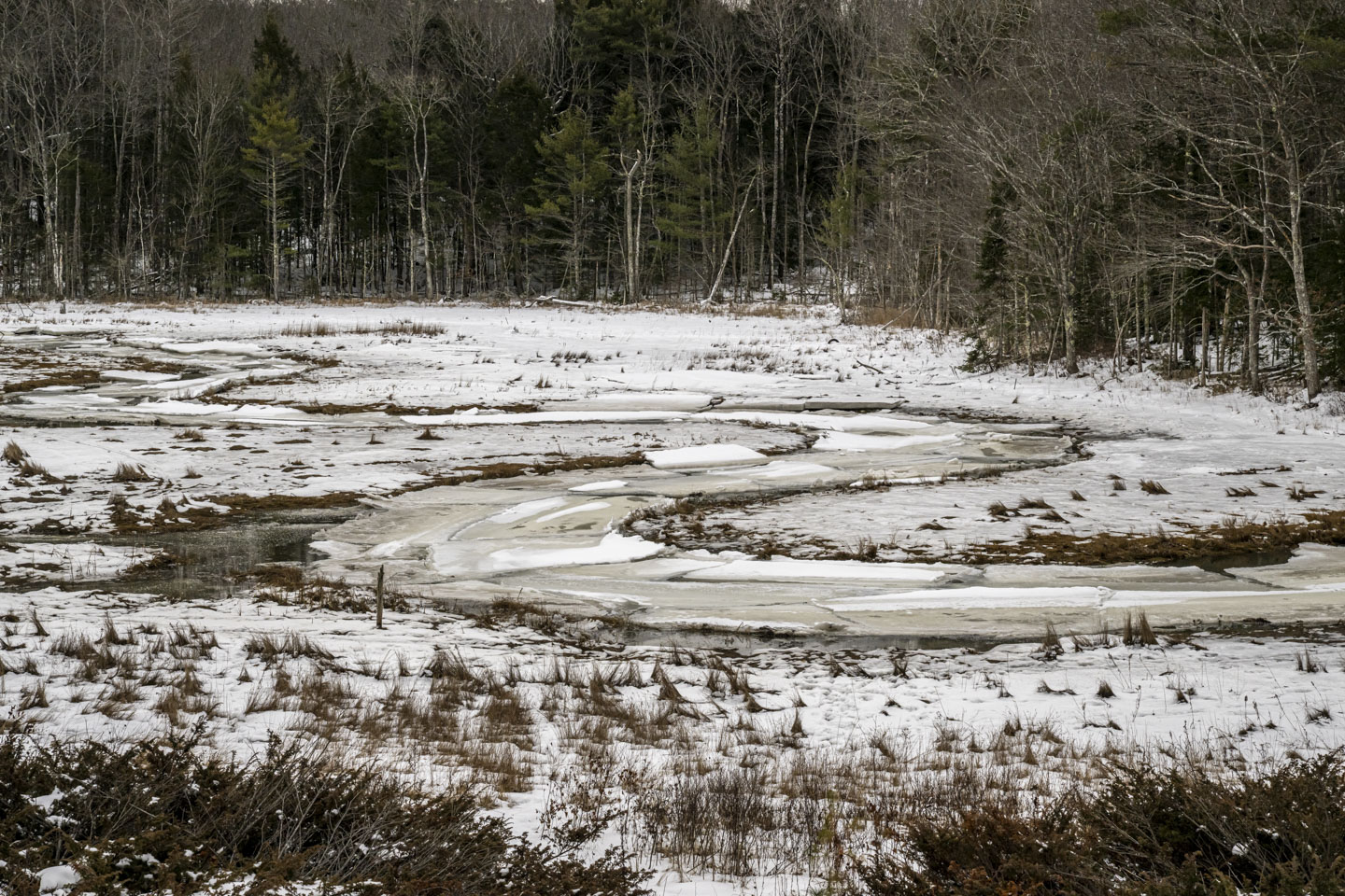 An ice-covered stream snakes through a snow-covered marsh.
