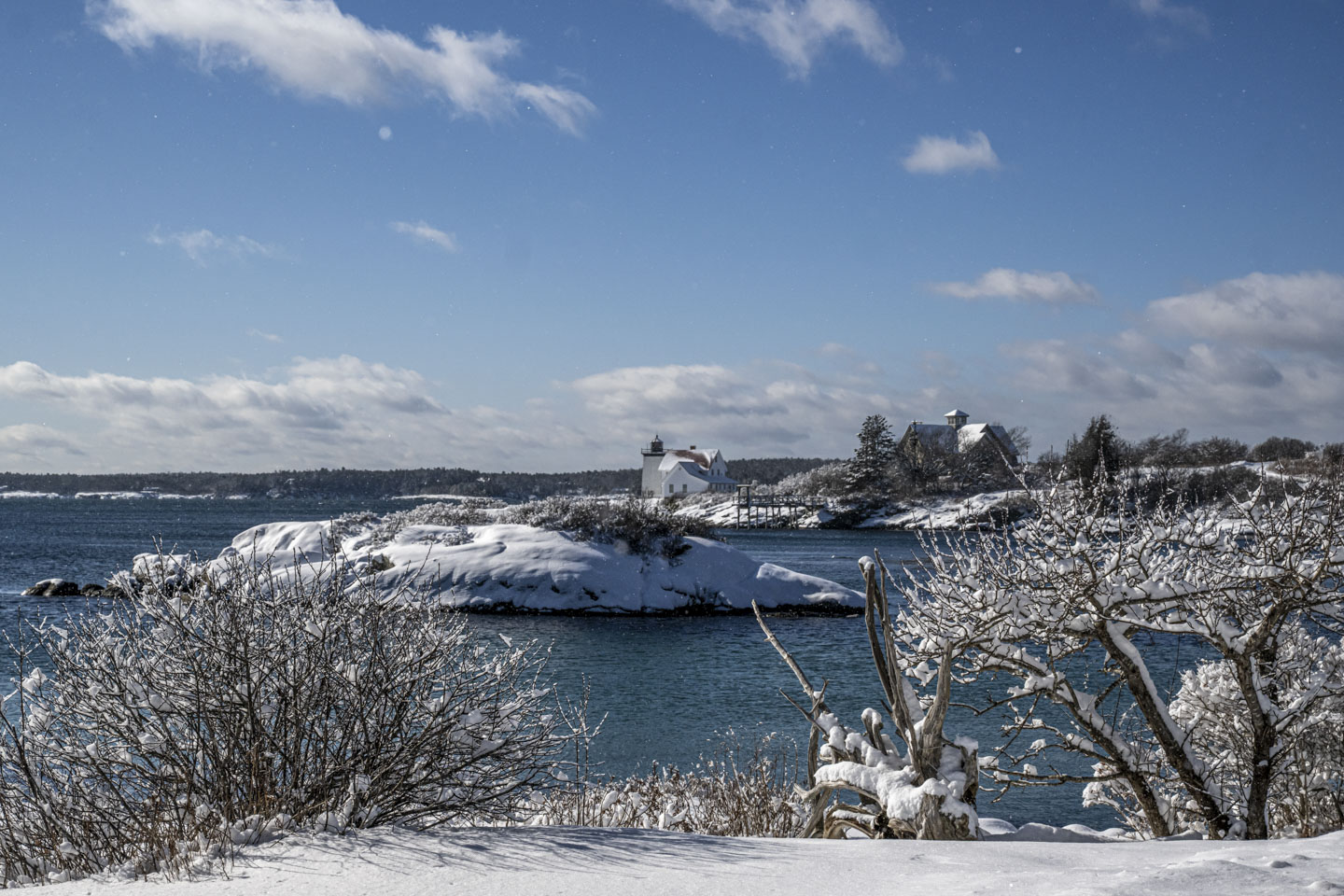 Looking at the lighthouse and island through some snow-covered bushes.