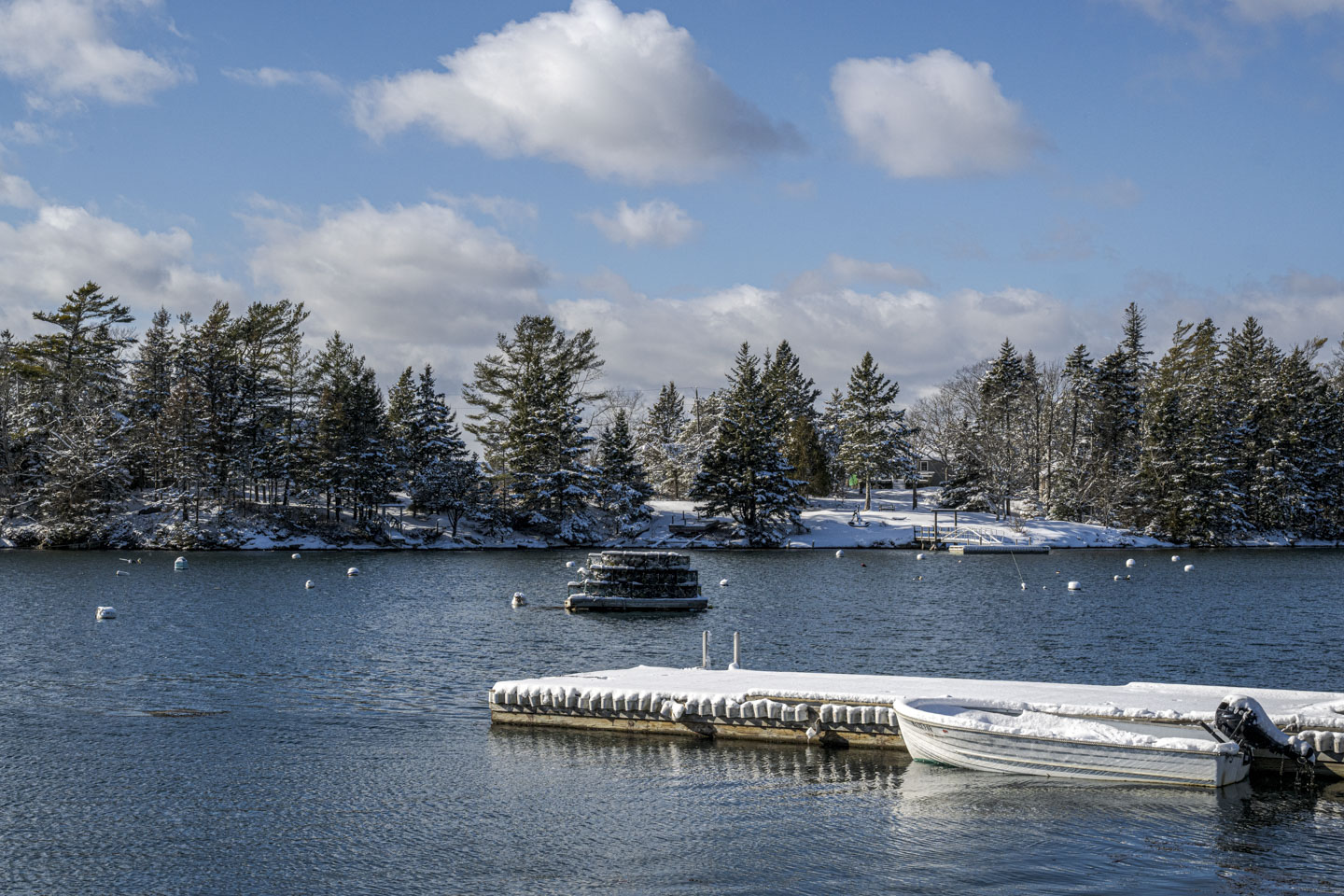 Looking over water that has buoys and a snow-covered pier to some land that has many snow-covered evergreen trees.