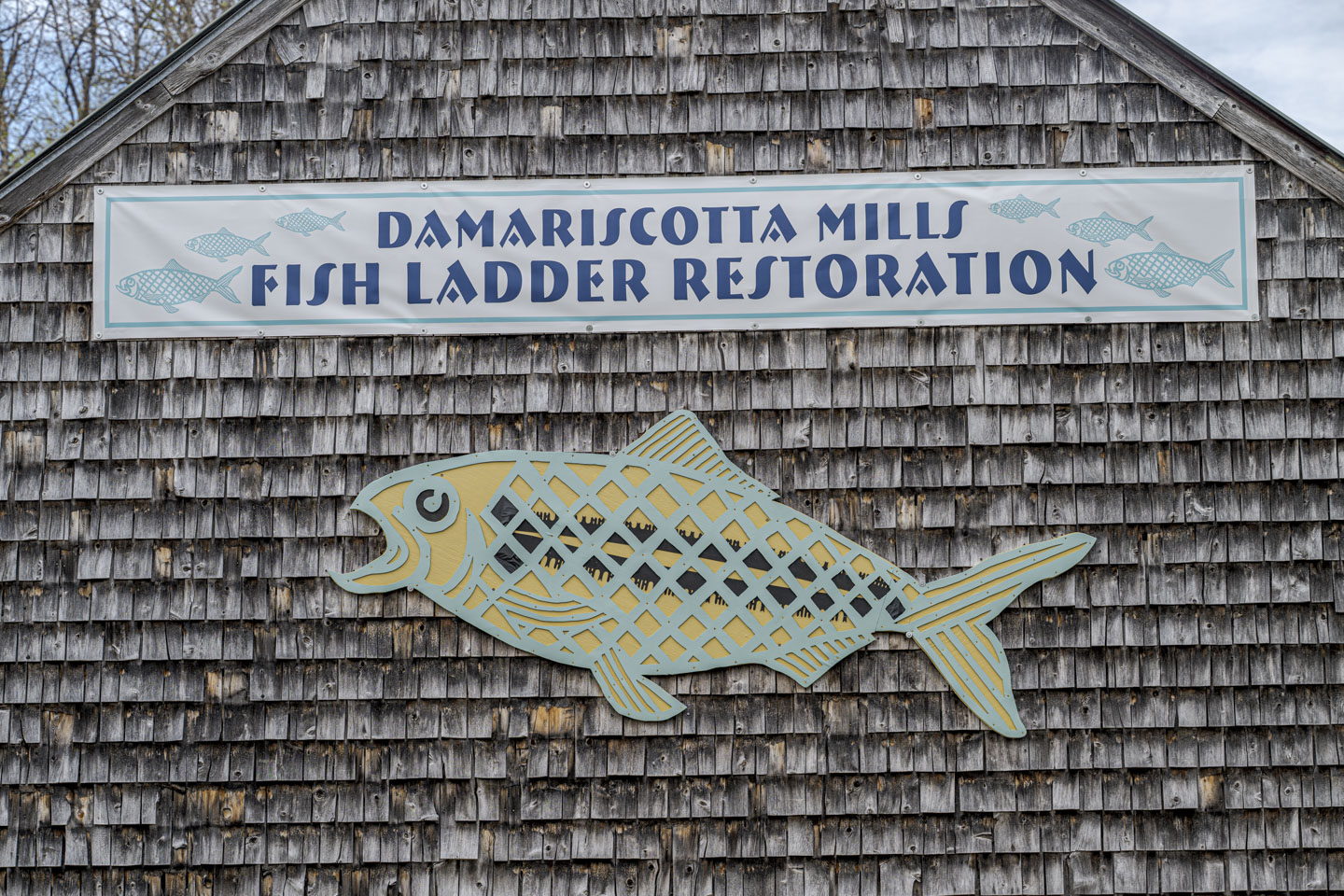 The side of a building with a sign for the fish ladder and a large wooden model of the alewife fish.
