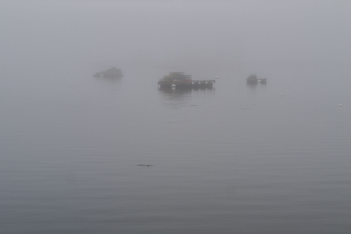 Three lobsterman rafts can dimly be seen through fog.