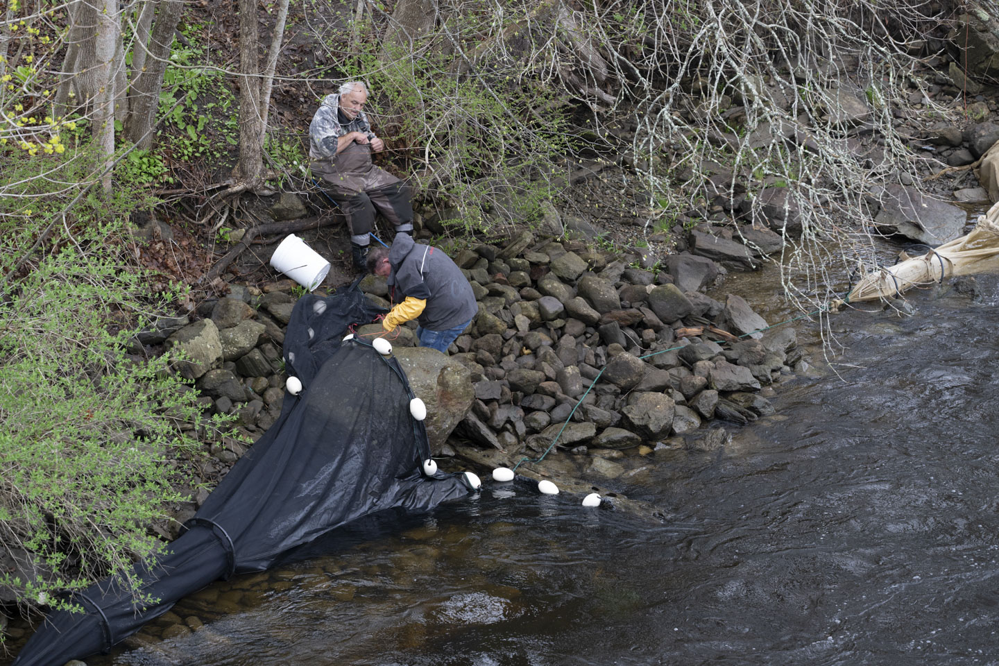 Two men are working on a trap at the side of a river. The trap is a long thin circular netting that they are attaching around a rock.