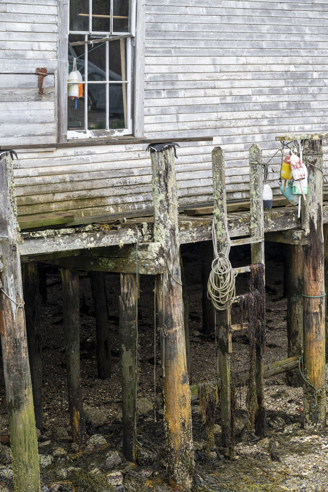 A wooden ladder leads up from dry ground to a walkway next to a wall.