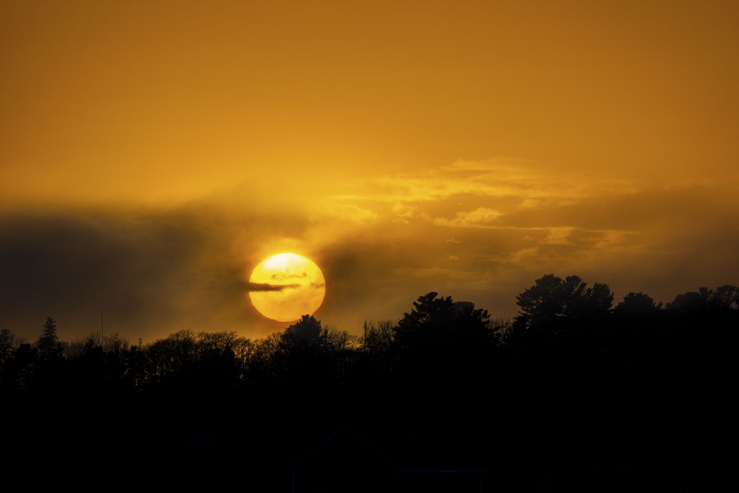 The setting sun is a large glowing ball just above the trees.