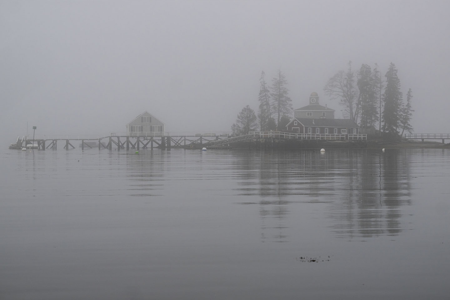 Some houses on an island can be seen through fog.