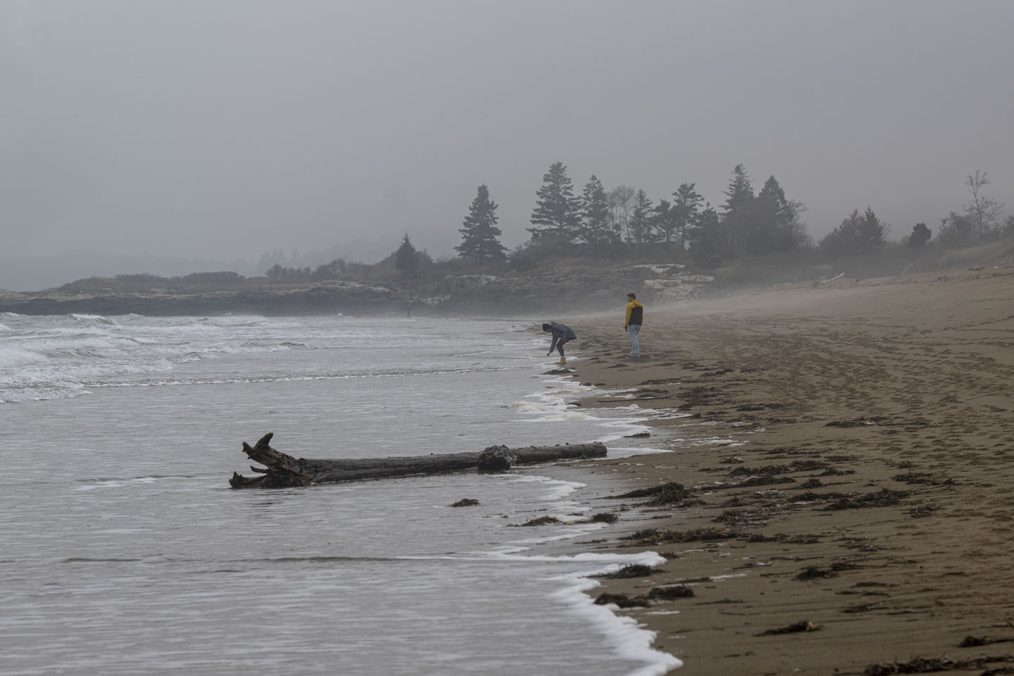 A woman reaches down towards the gentle waves coming on the beach, while a man watches her on a foggy day.