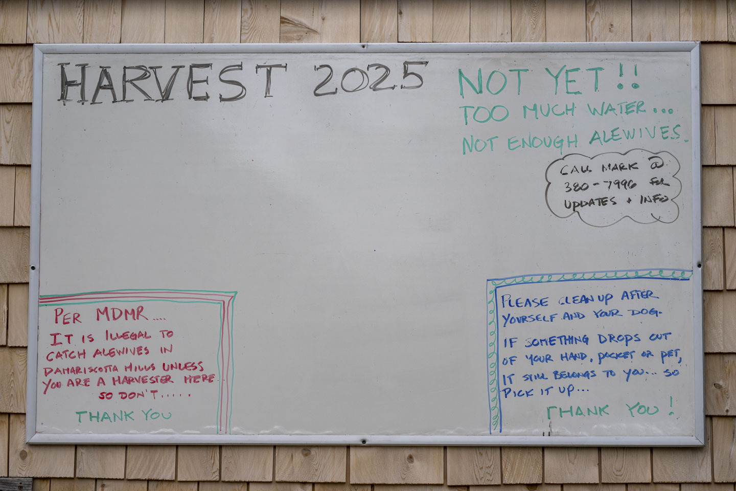 A whiteboard on a wall that explained the harvest for 2025 was not scheduled it. It also reminded people to clean up after their dogs, and not to catch alewives if they were not licensed.