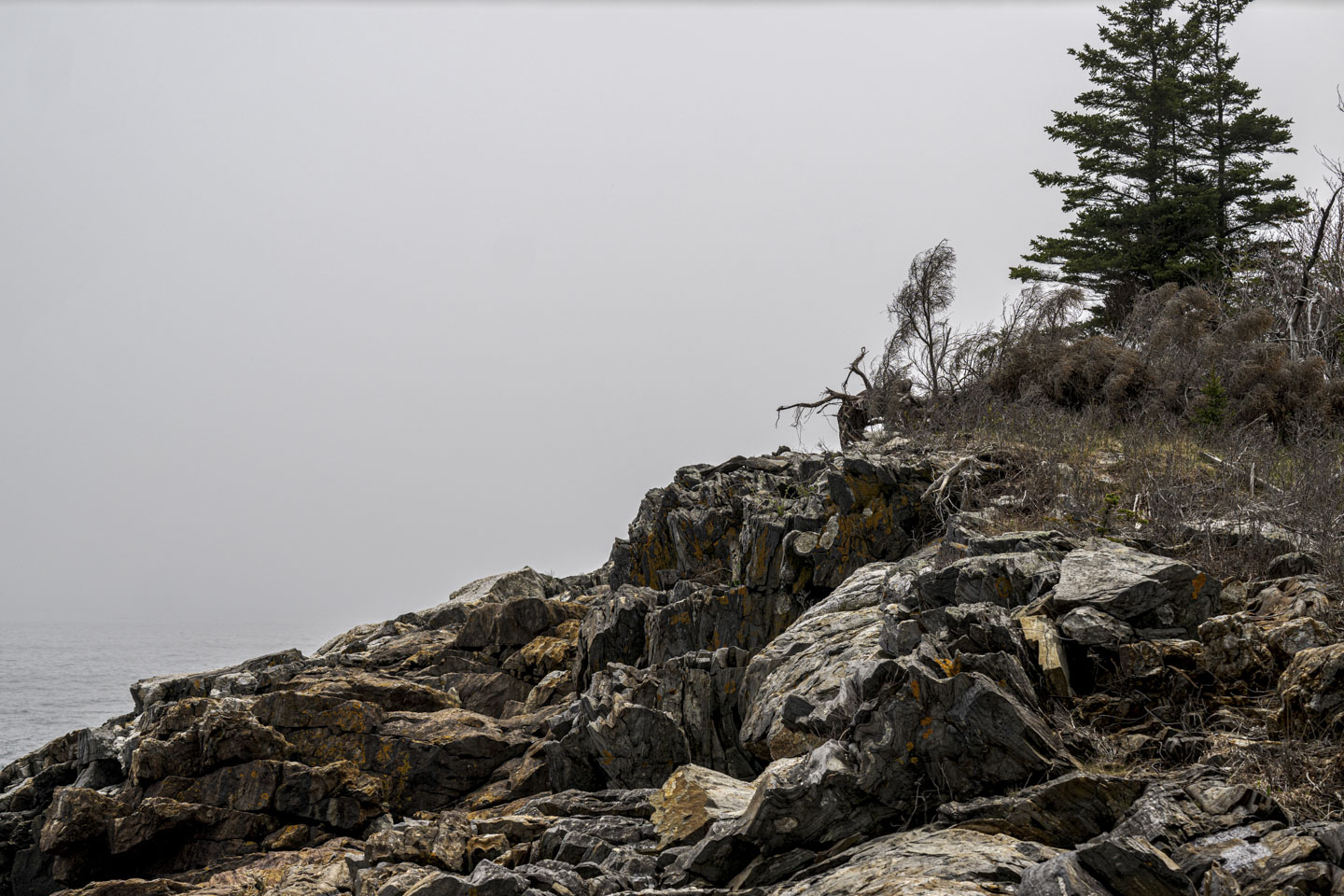 Solid fog obscures the view behind some of Maine's coastal rocks.