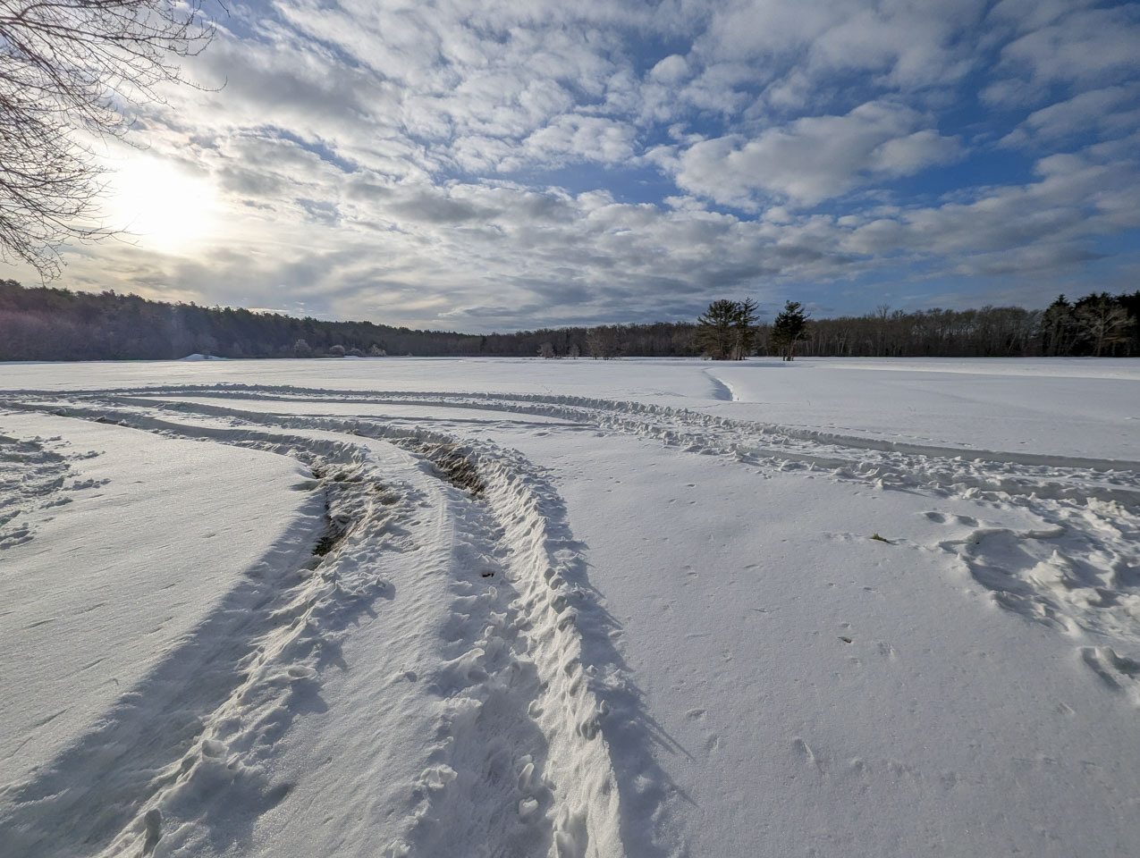 Wide snowy cranberry bog with deep tracks curving across the foreground under a bright winter sky