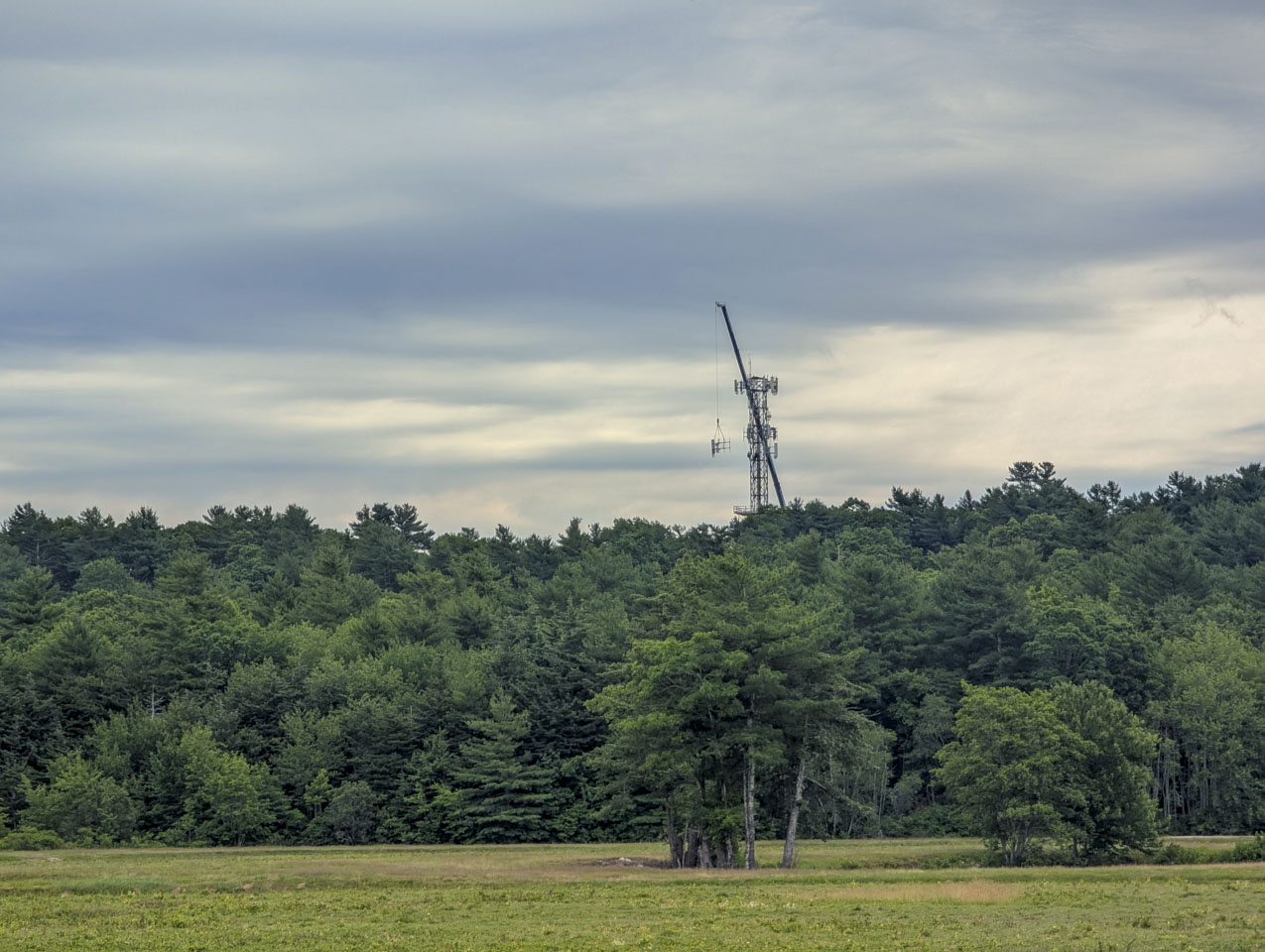 Zoomed view of a cell tower above the treeline with a crane lifting equipment beside it