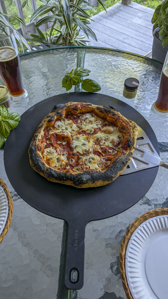 A mushroom pizza with charred edges.