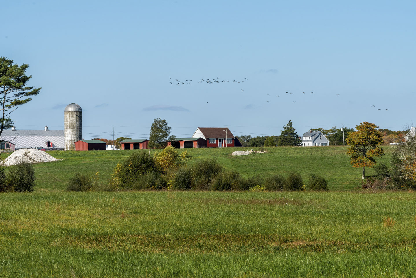View of farm buildings and fields with birds flying in the sky