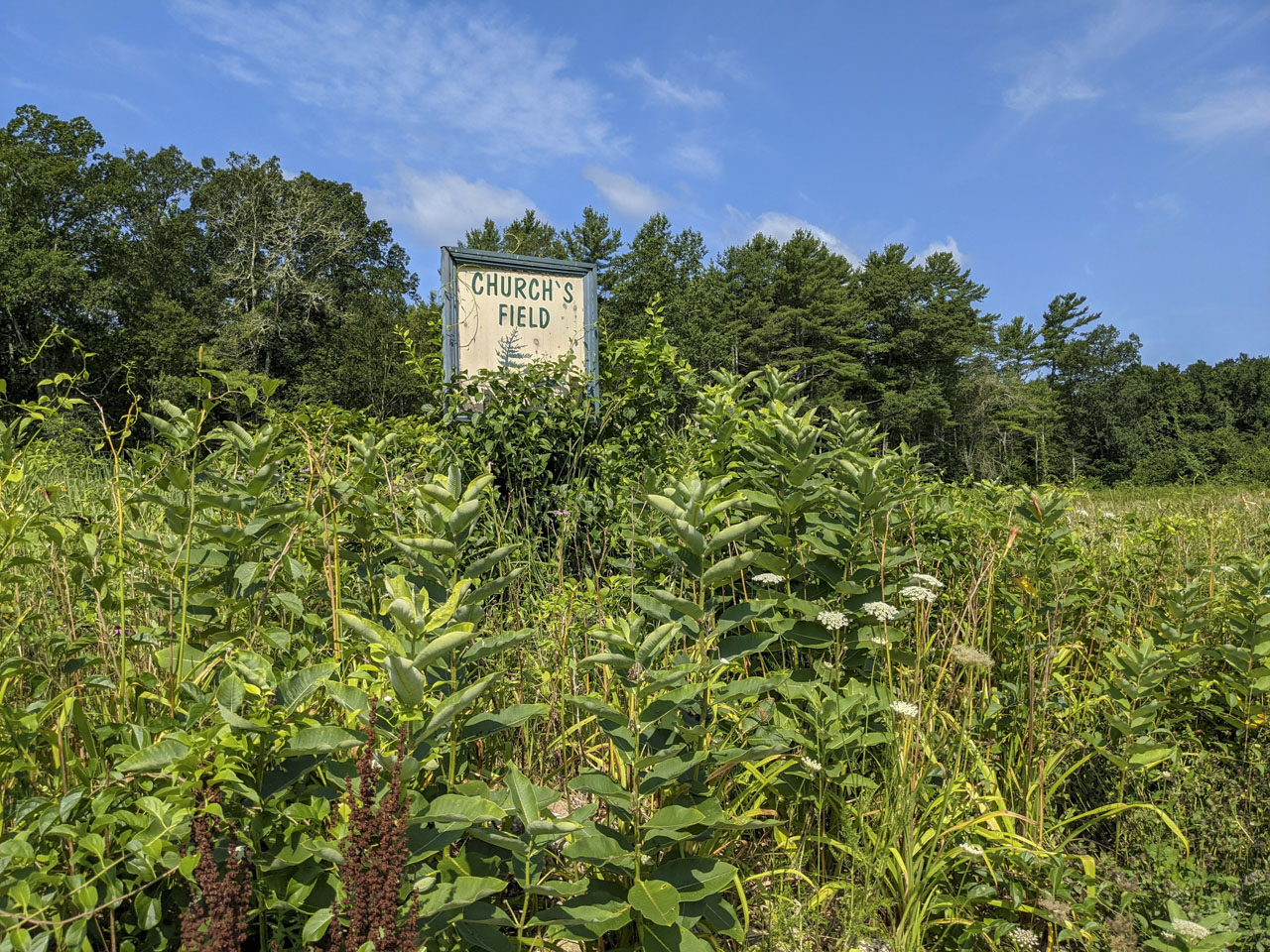 A sign with the name Church's Field rises above wild plants in a field