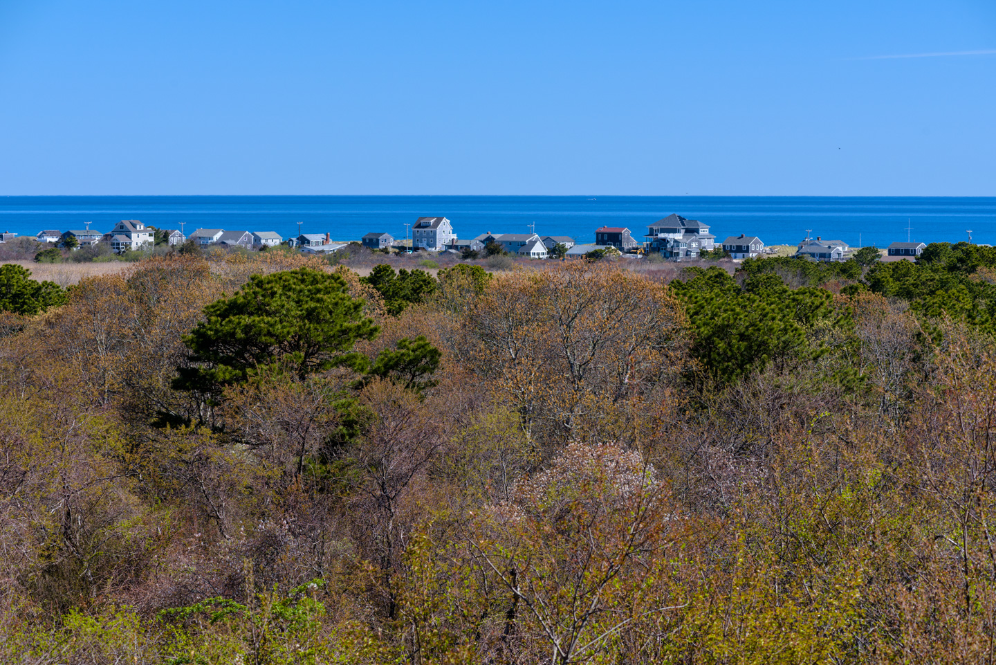 View from Sagamore Hill to Cape Cod Bay, with a row of houses near the water.
