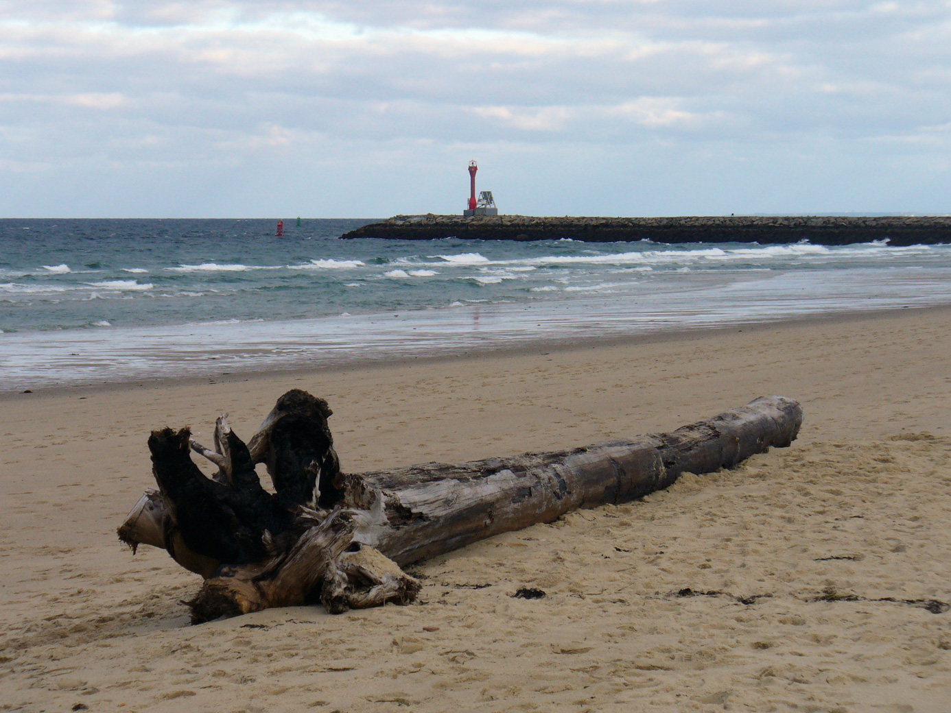 Driftwood log with the Cape Cod Canal eastern breakwater and light
