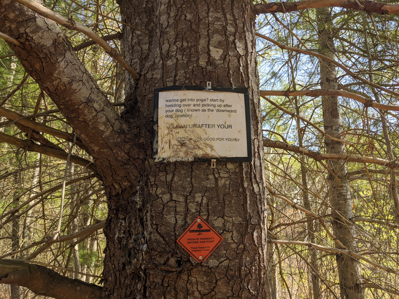 Sign posted on a tree
