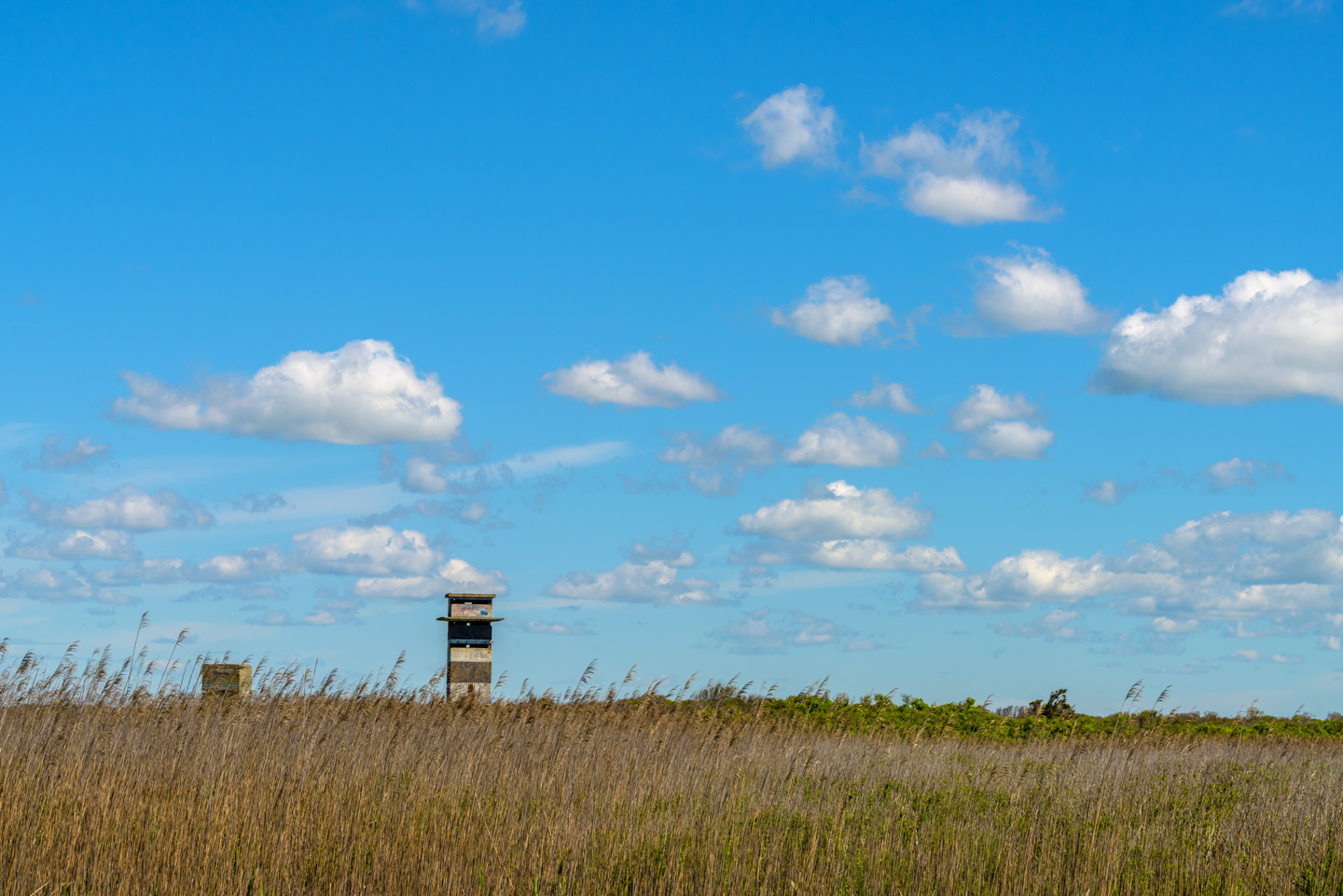 Gooseberry Island WWII Outlook Towers from a distance